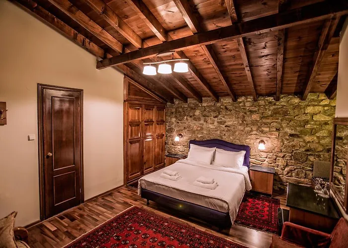 Πανσιόν εντερνέ 3*