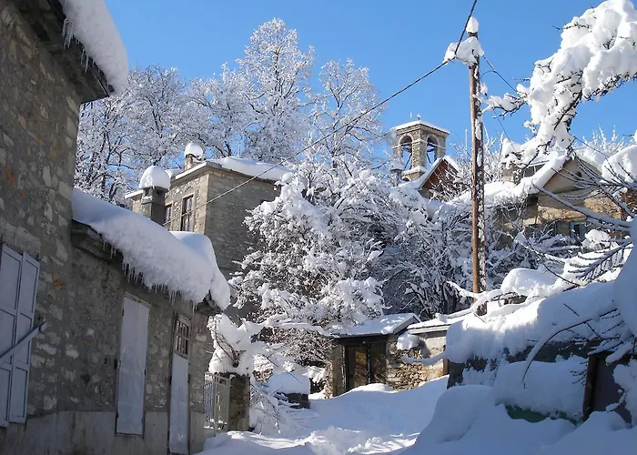 Πανσιόν εντερνέ 3*